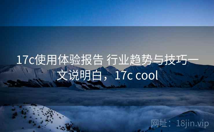 17c使用体验报告 行业趋势与技巧一文说明白，17c cool
