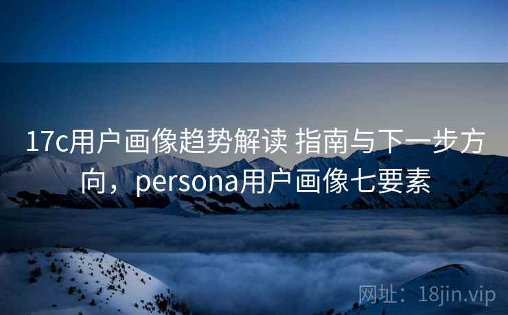 17c用户画像趋势解读 指南与下一步方向，persona用户画像七要素