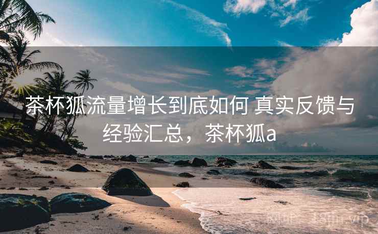 茶杯狐流量增长到底如何 真实反馈与经验汇总，茶杯狐a