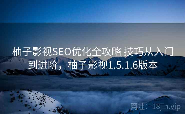 柚子影视SEO优化全攻略 技巧从入门到进阶，柚子影视1.5.1.6版本