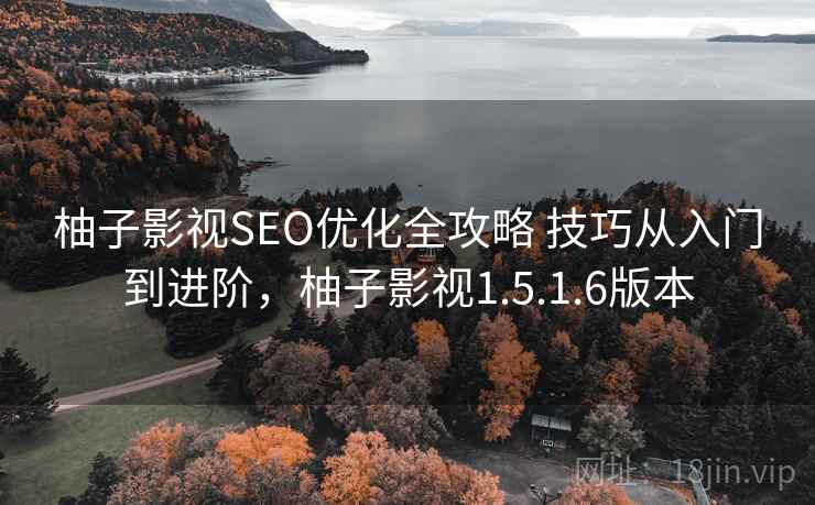 柚子影视SEO优化全攻略 技巧从入门到进阶，柚子影视1.5.1.6版本