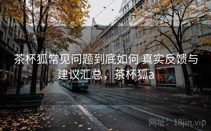 茶杯狐常见问题到底如何 真实反馈与建议汇总，茶杯狐a