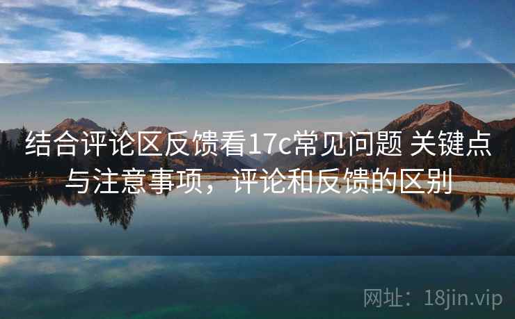 结合评论区反馈看17c常见问题 关键点与注意事项，评论和反馈的区别