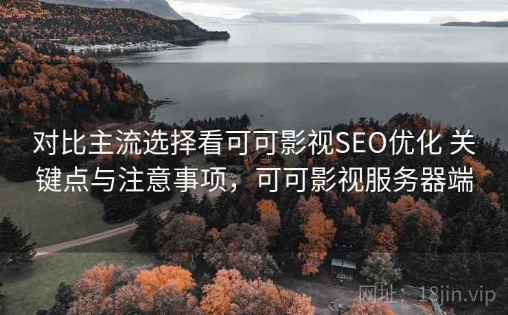 对比主流选择看可可影视SEO优化 关键点与注意事项，可可影视服务器端