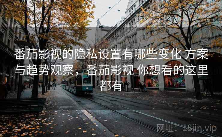 番茄影视的隐私设置有哪些变化 方案与趋势观察，番茄影视 你想看的这里都有