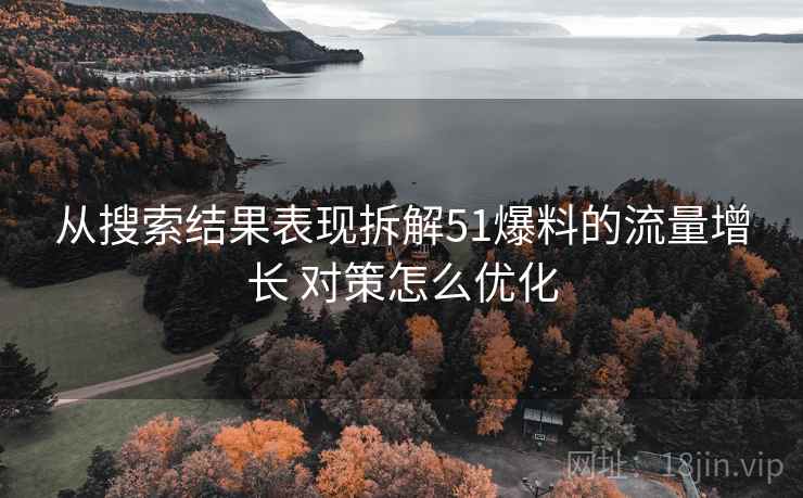 从搜索结果表现拆解51爆料的流量增长 对策怎么优化